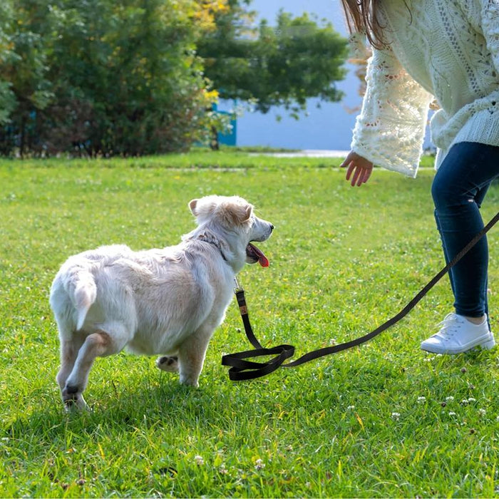 Multifunctional Dog Walking Leash Black
