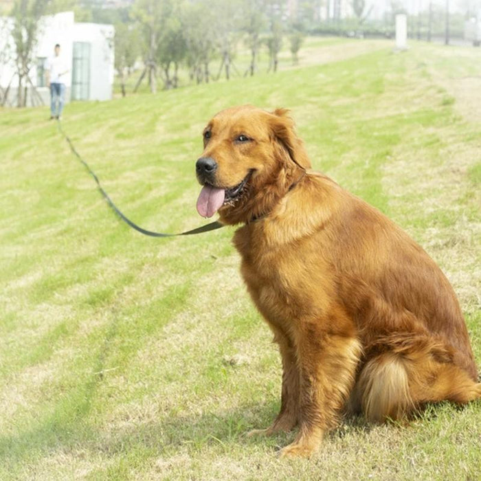 Long Dog Training Leash For Pet Tracking Black