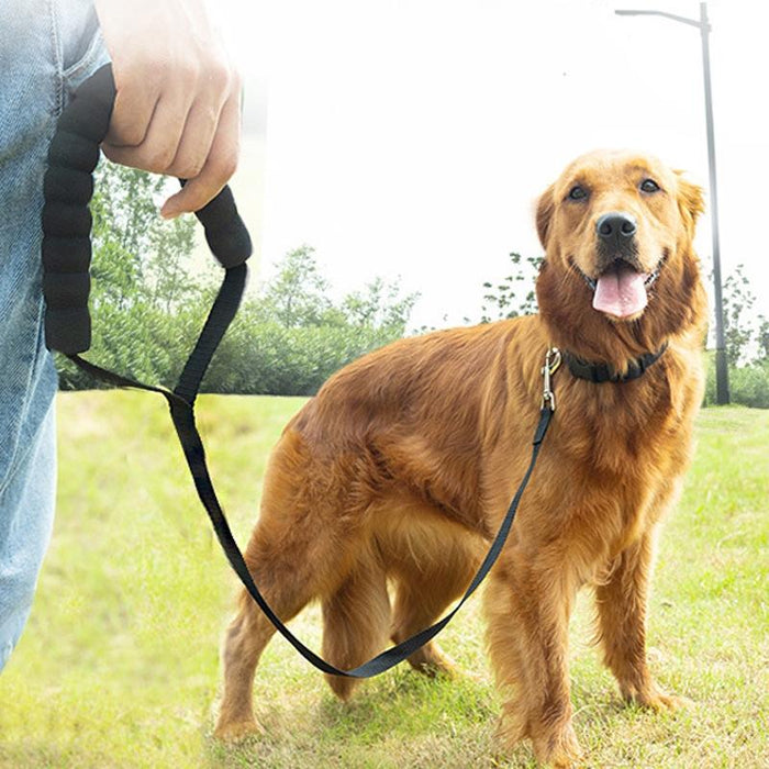 Long Dog Training Leash For Pet Tracking Black