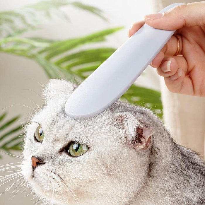 3 Piece Cat Grooming Brush Set