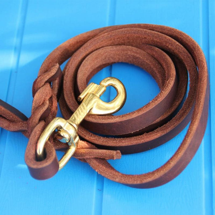 Dog Training Harness With Cowhide Leash