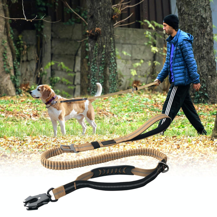 Reflective Shock Absorbing Bungee Leash For Medium / Large Dogs