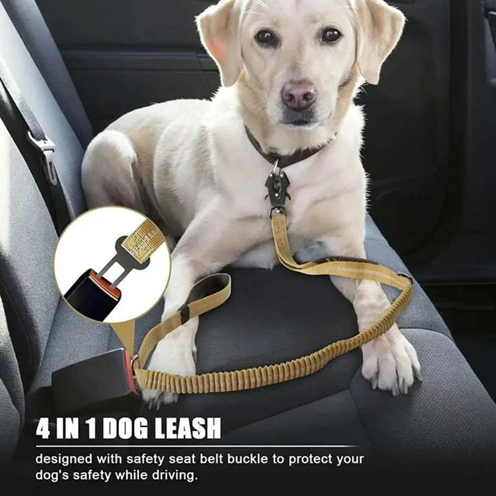 Reflective Shock Absorbing Bungee Leash For Medium / Large Dogs