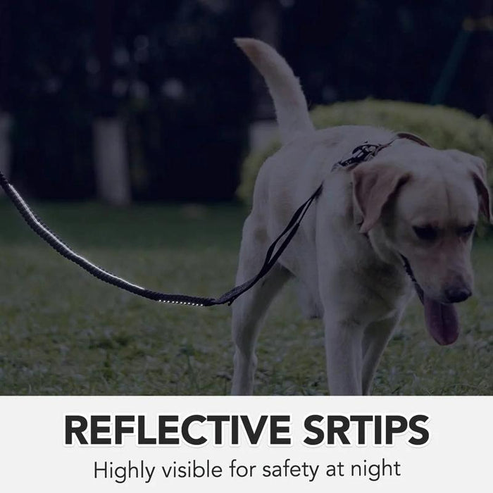 Reflective Shock Absorbing Bungee Leash For Medium / Large Dogs
