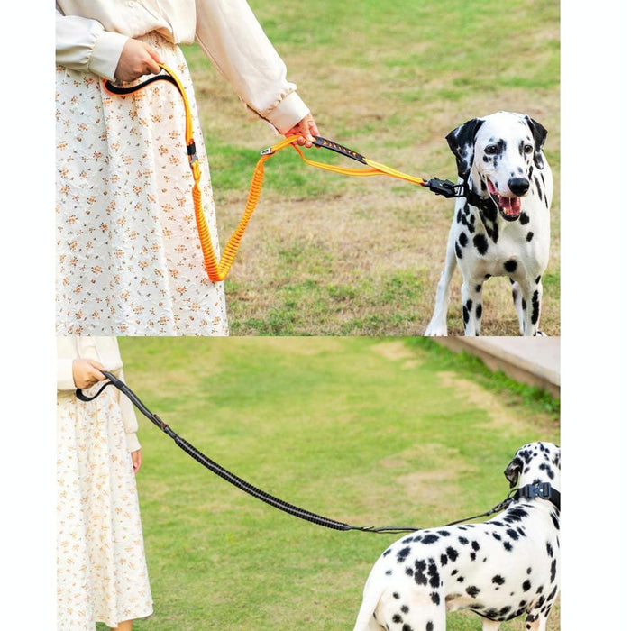 Reflective Shock Absorbing Bungee Leash For Medium / Large Dogs