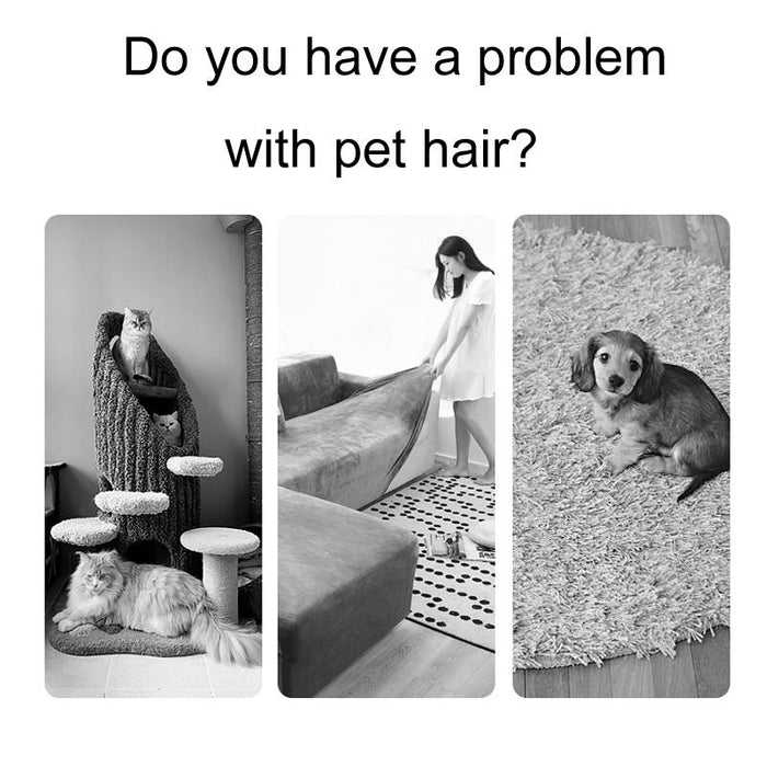Pet Hair Remover For Triangular Sofa And Carpet