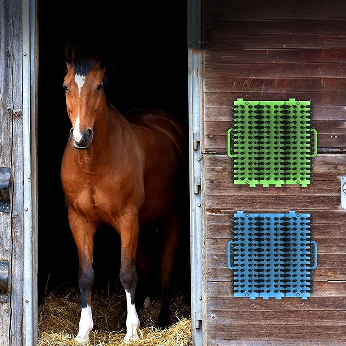 Pet Massage Scratcher For Large Cats & Dogs