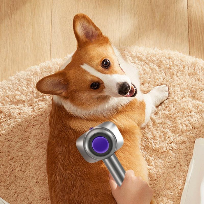 2 In 1 Pet Brush Head Set For V7 V8 V10 V11 Vacuum Cleaners