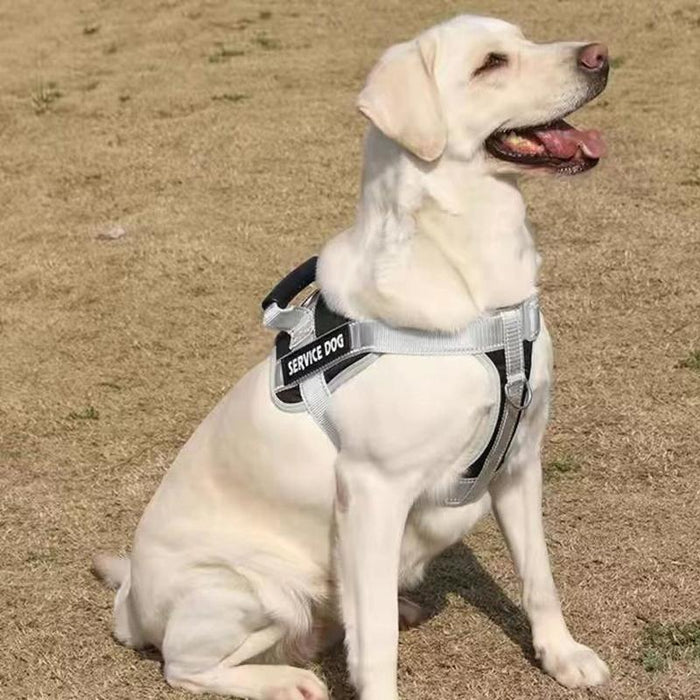 Explosion Proof Large Dog Harness With Leash Black+1.5M