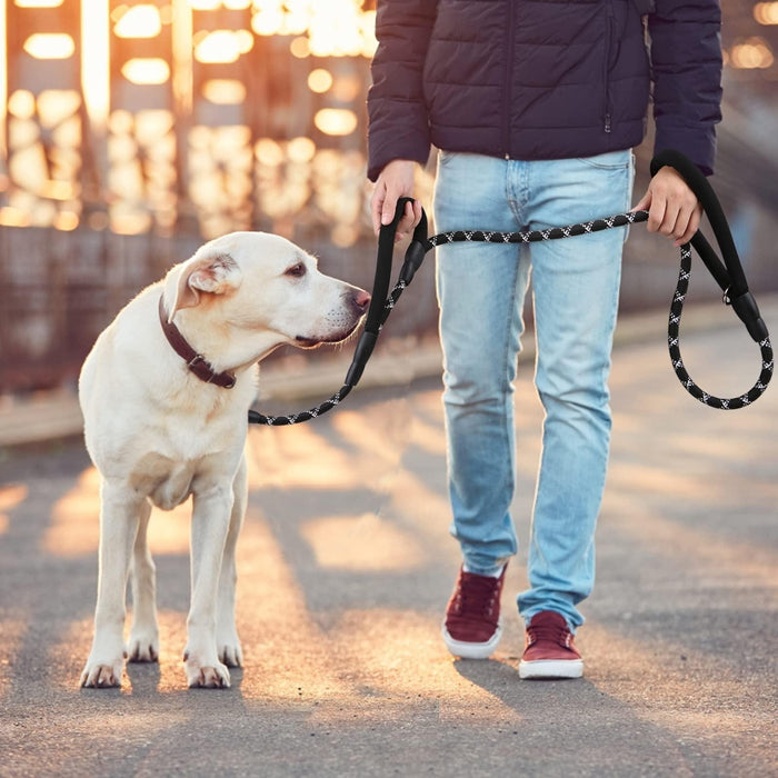 Reflective Nylon Dog Leash 150 X 1.2Cm Control & Safety Training