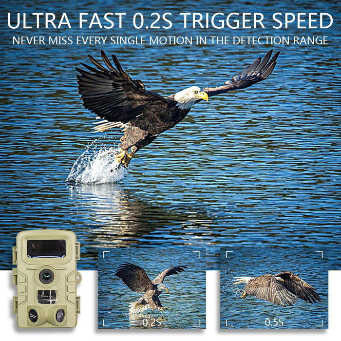 4K 48Mp Animal Monitoring Home Security Outdoor Hunting Camera