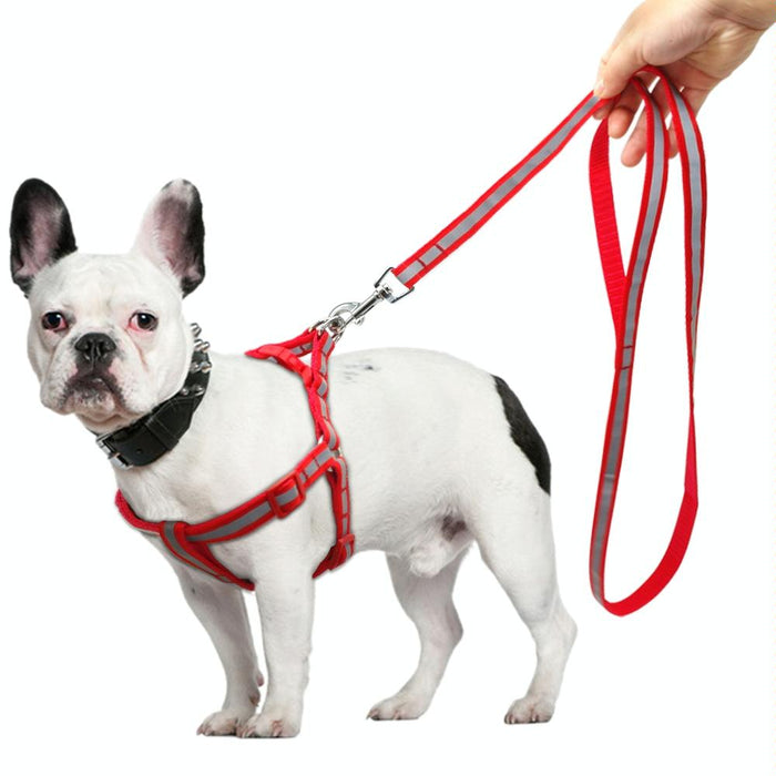Reflective Nylon Dog Leash Set For Small To Medium Breeds
