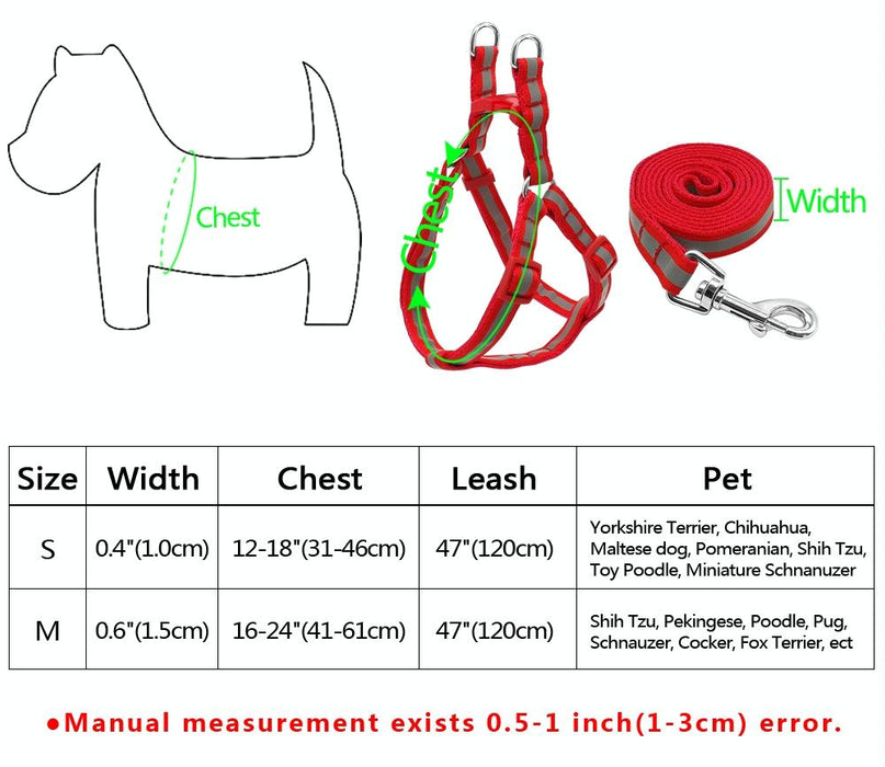 Reflective Nylon Dog Leash Set For Small To Medium Breeds