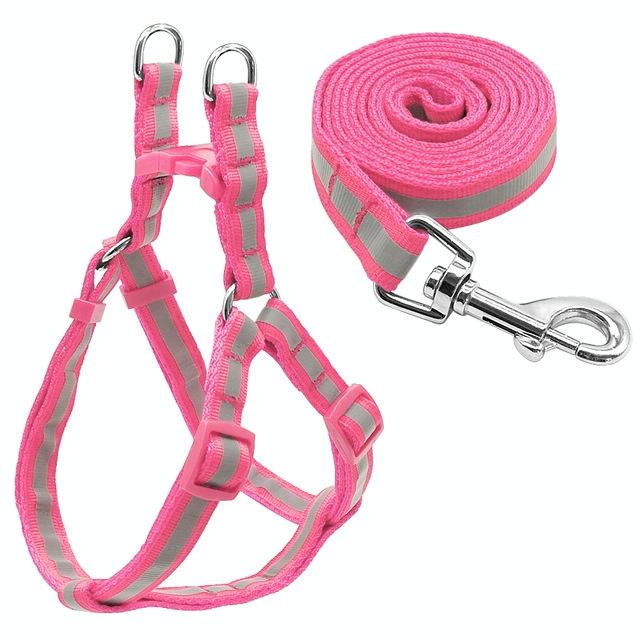 Reflective Nylon Dog Leash Set For Small To Medium Breeds