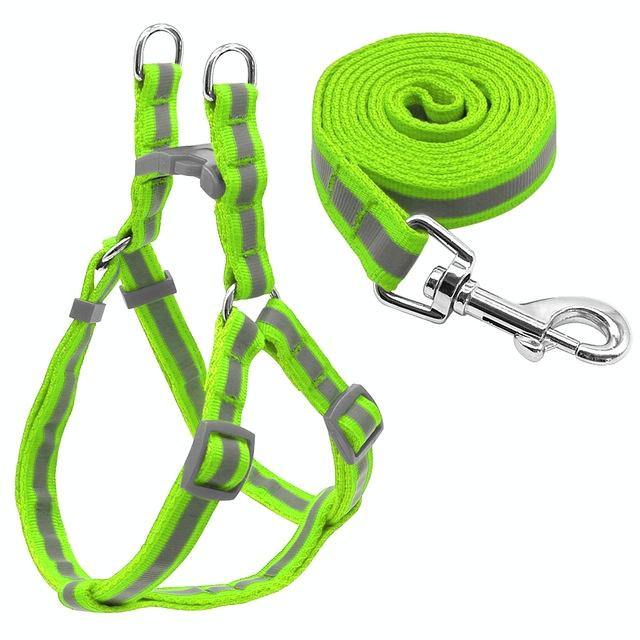 Reflective Nylon Dog Leash Set For Small To Medium Breeds