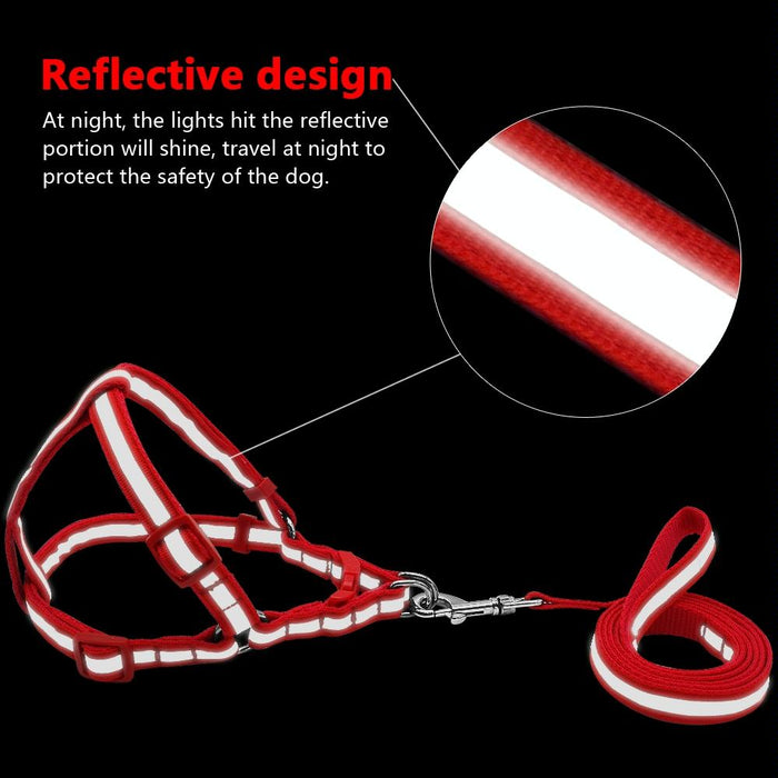 Reflective Nylon Dog Leash Set For Small To Medium Breeds