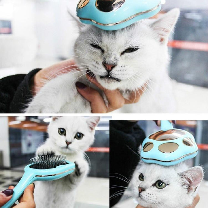 Pet Hair Removal Comb For Dogs And Cats