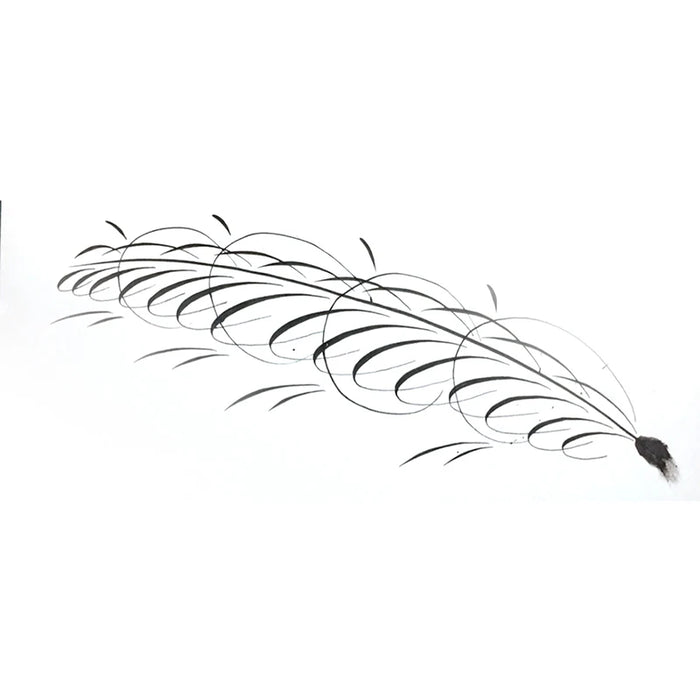 5 Nibs Calligraphy Pen Set For Art & Design