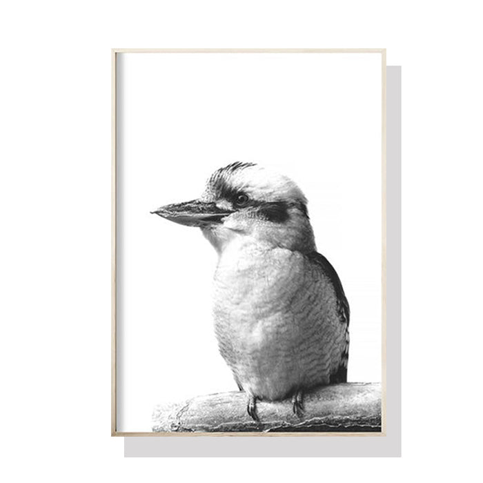Wall Art 90Cmx135Cm Kookaburra Black Frame Canvas
