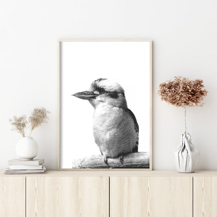 Wall Art 90Cmx135Cm Kookaburra Black Frame Canvas