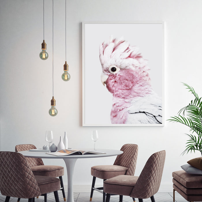 Wall Art 40Cmx60Cm Pink Galah White Frame Canvas