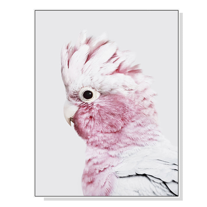 Wall Art 90Cmx135Cm Pink Galah White Frame Canvas