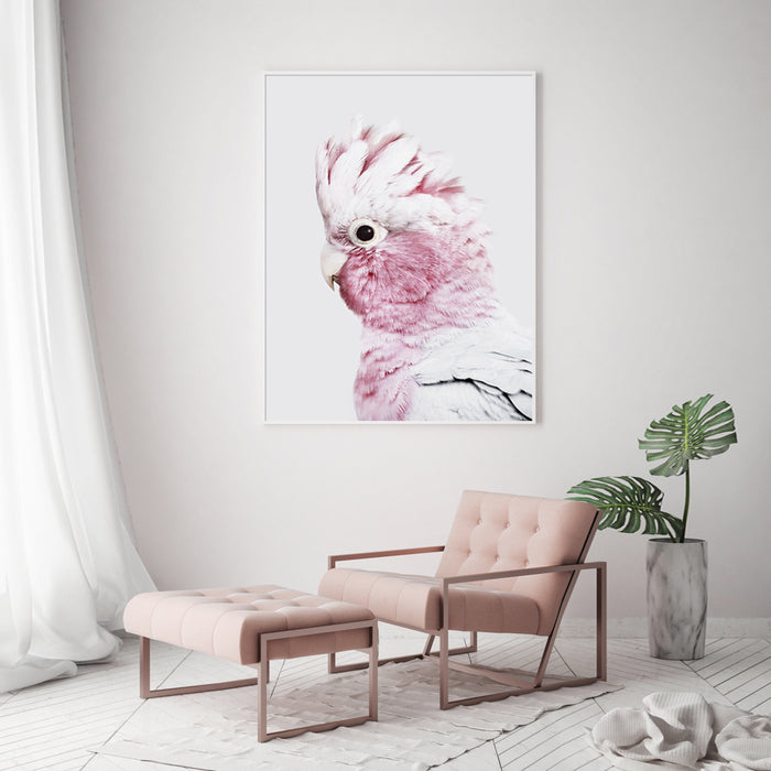 Wall Art 90Cmx135Cm Pink Galah White Frame Canvas