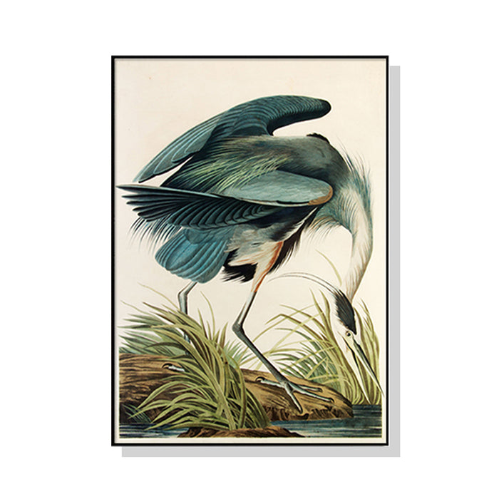 Wall Art 90Cmx135Cm Great Blue Heron By John James Audubon Black Frame Canvas