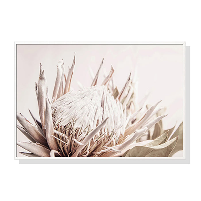 Wall Art 90Cmx135Cm Pure Protea Ii White Frame Canvas