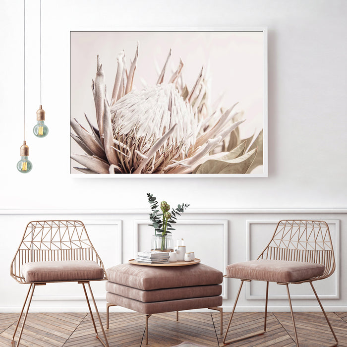 Wall Art 100Cmx150Cm Pure Protea Ii White Frame Canvas