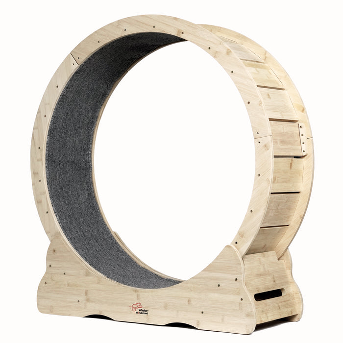 Smart Pet Treadmill - Indoor Fitness Solution For Small Dogs & Cats | Quiet Design Adjustable Speed Promotes Pet Health & Weight Management