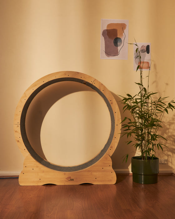 Smart Pet Treadmill - Indoor Fitness Solution For Small Dogs & Cats | Quiet Design Adjustable Speed Promotes Pet Health & Weight Management