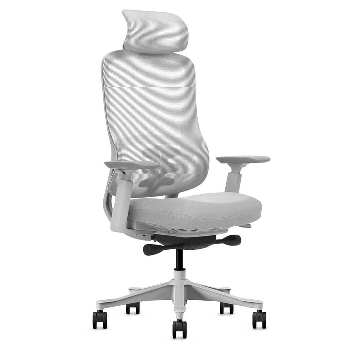 Fitness Dm8 Ergonomic Office Desk Chair White / Grey