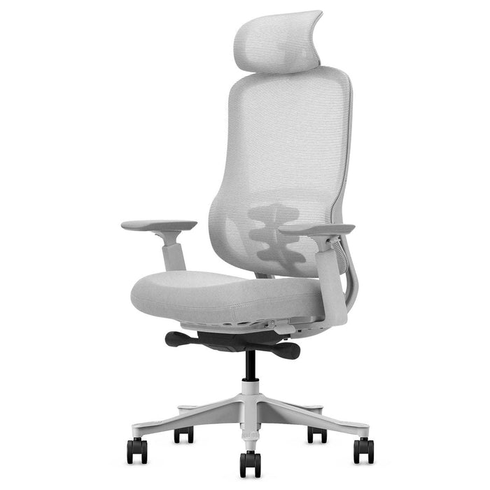 Fitness Dm8 Ergonomic Office Desk Chair White / Grey