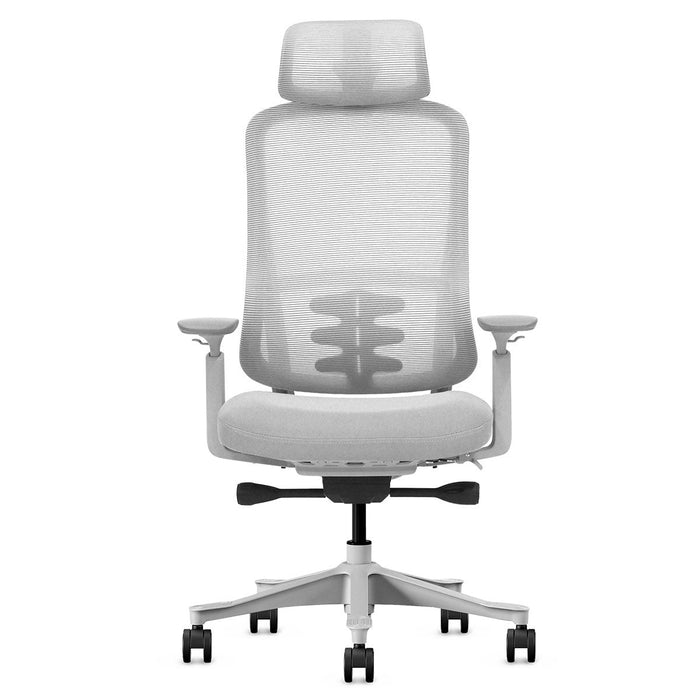 Fitness Dm8 Ergonomic Office Desk Chair White / Grey