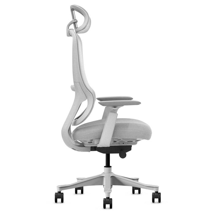 Fitness Dm8 Ergonomic Office Desk Chair White / Grey