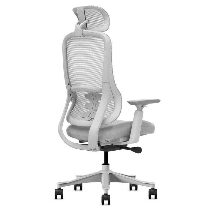 Fitness Dm8 Ergonomic Office Desk Chair White / Grey