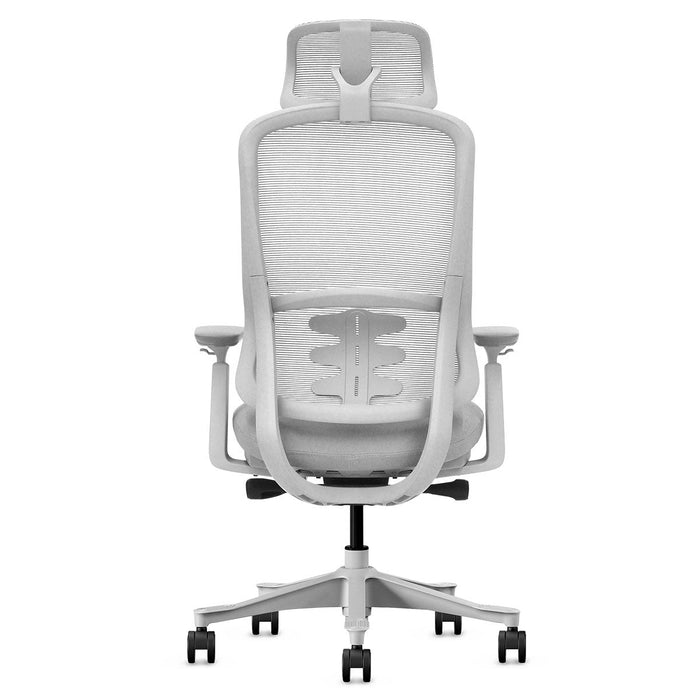 Fitness Dm8 Ergonomic Office Desk Chair White / Grey