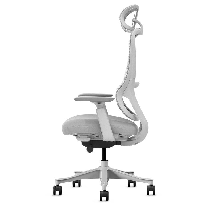 Fitness Dm8 Ergonomic Office Desk Chair White / Grey