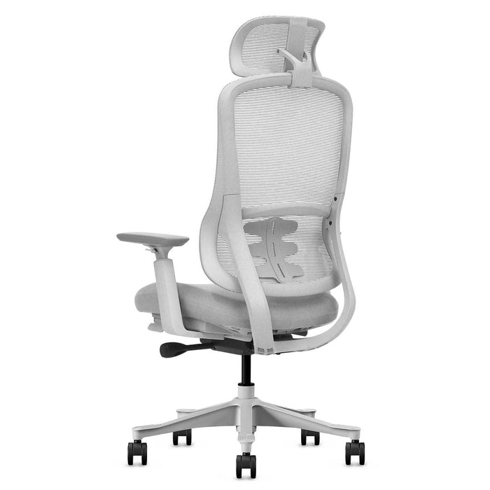 Fitness Dm8 Ergonomic Office Desk Chair White / Grey