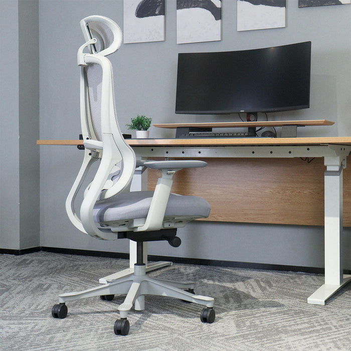 Fitness Dm8 Ergonomic Office Desk Chair White / Grey