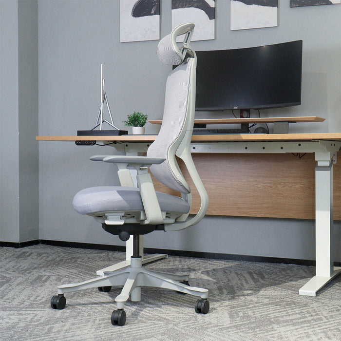 Fitness Dm8 Ergonomic Office Desk Chair White / Grey