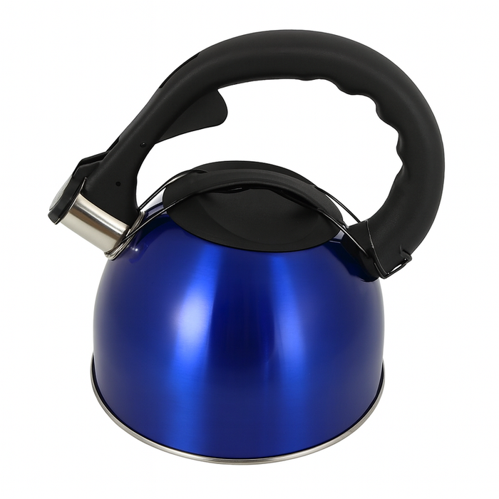 2.6L Stainless Steel Whistling Kettle Blue