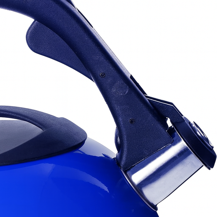 2.6L Stainless Steel Whistling Kettle Blue