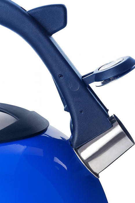 2.6L Stainless Steel Whistling Kettle Blue