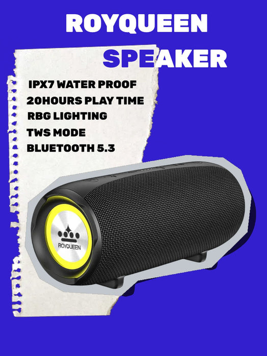 30W Ip67 Waterproof And Dustproof Wireless Dual Pairing Built-In Mic Loud Stereo Sound Portable Speaker