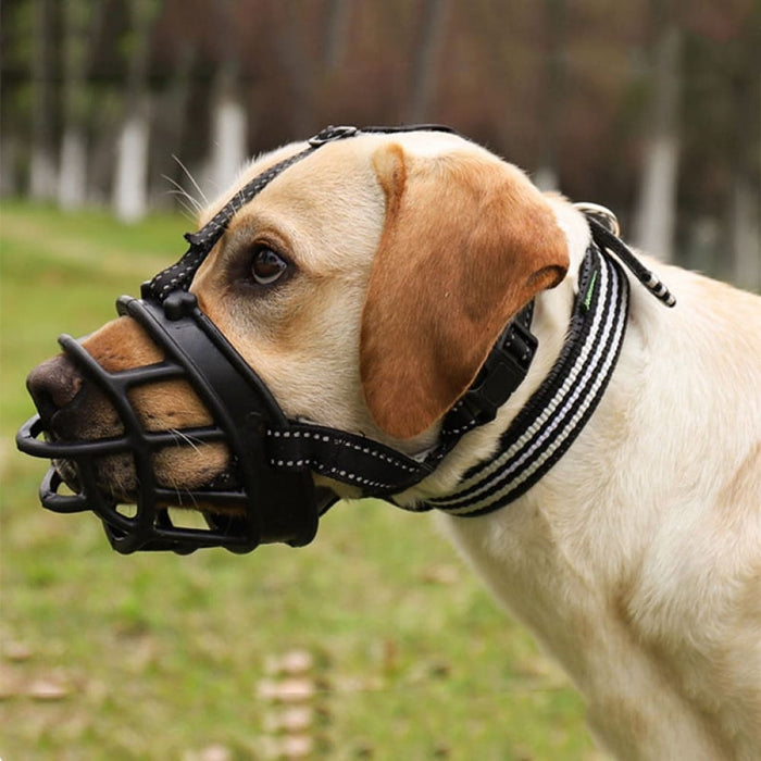 Adjustable Anti - biting Silicone Reflective Dog Muzzle Mask