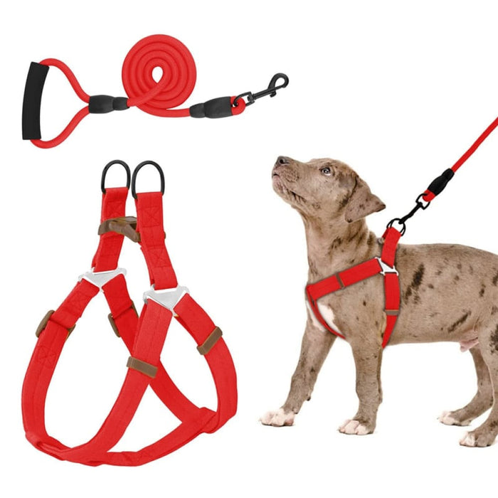 Adjustable Comfortable Neck Balance Pet Halter Harnesses
