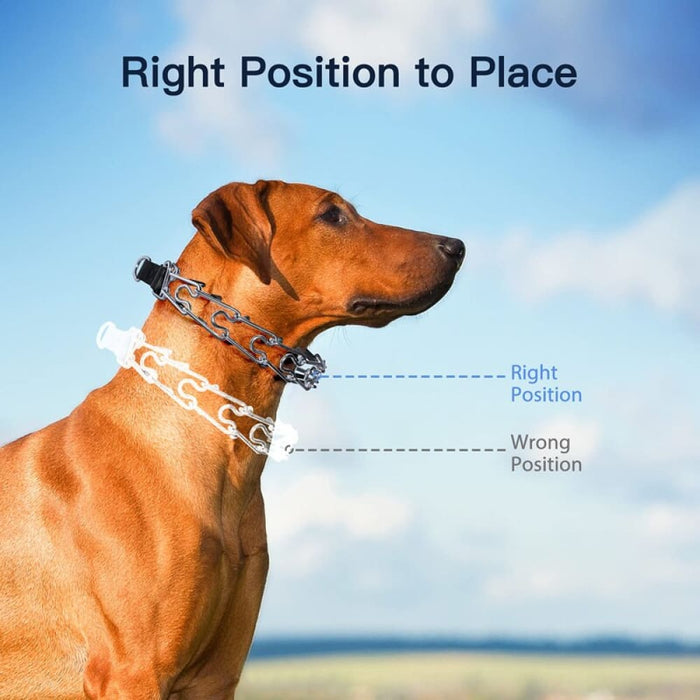 Adjustable Stainless Steel Quick Rubber Training Dog Collar