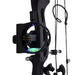 Adult Compound Bow With Accessories And Fiberglass Arrows